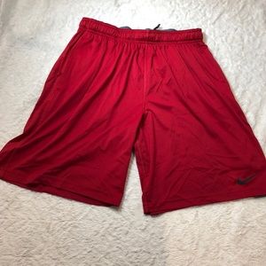 Men's Nike Dri Fit Shorts Lg